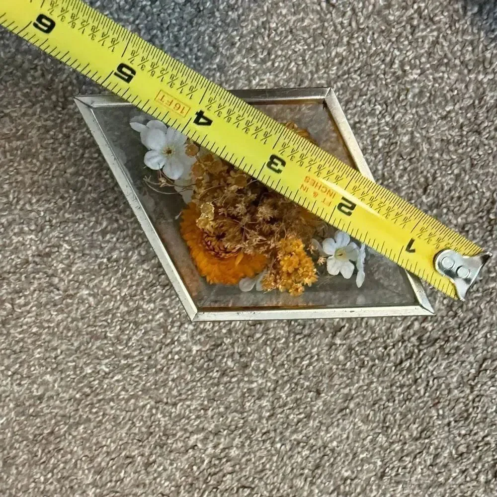 Leonard Creations Dried Flower Arrangement 6” Tall Glass Box Wood Terrarium